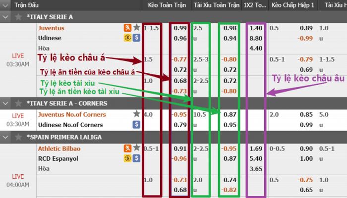 Cách xem tỷ lệ kèo nhà cái dễ hiểu nhất