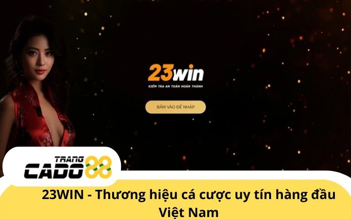 23WIN - Nhà cái cá cược thể thao uy tín hàng đầu Việt Nam