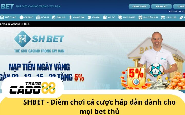 SHBET - Sân chơi cá cược hấp dẫn dành cho mọi bet thủ